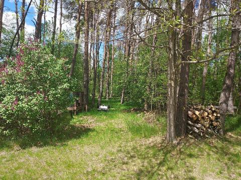4530 N River Rd, Evart, MI 49631 photo 6
