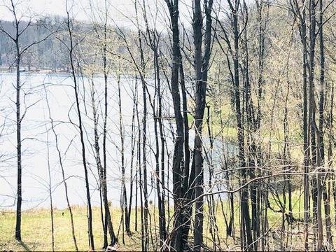 0000 Vaud Ct, Reed City, MI 49677