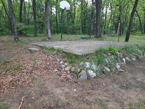 8772 S Spruce Ave, Newaygo, MI 49337 photo 26