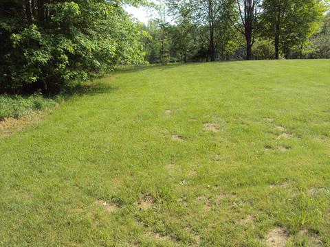 51950 50th St, Lawrence, MI 49064 photo 19