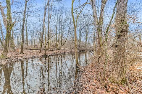 65722 Engle Rd, Constantine, MI 49042 photo 24