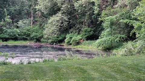 65722 Engle Rd, Constantine, MI 49042 photo 11