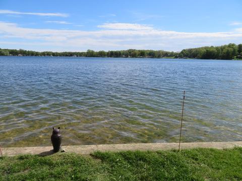 58448 E Clear Lake Rd, Three Rivers, MI 49093 photo 3