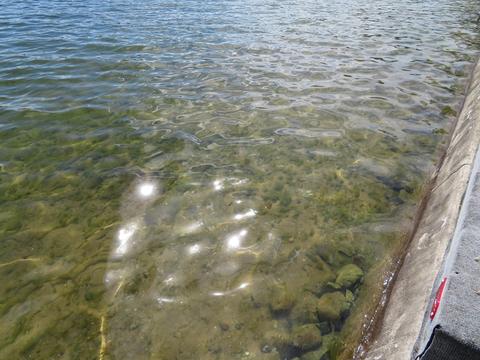 58448 E Clear Lake Rd, Three Rivers, MI 49093 photo 27