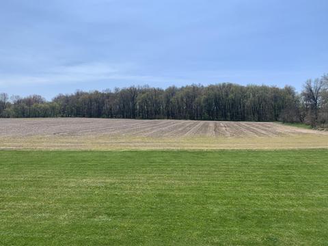 10540 E Drive S, Ceresco, MI 49033 photo 47