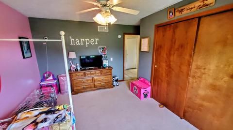120 Larry Dr, Waldron, MI 49288 photo 20
