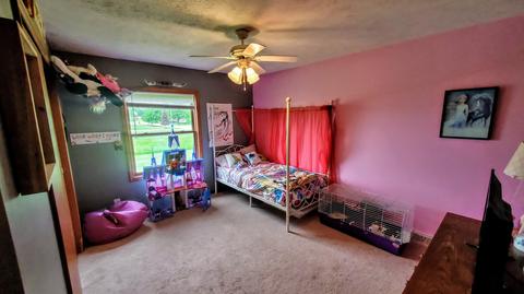 120 Larry Dr, Waldron, MI 49288 photo 19