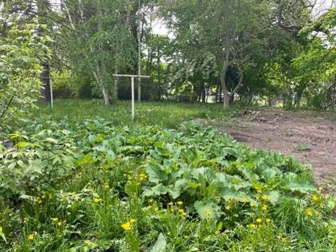 2353 E Second St, Custer, MI 49405 photo 24