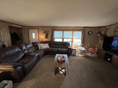 10964 Wisner Ave, Grant, MI 49327 photo 24