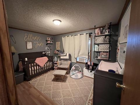 10964 Wisner Ave, Grant, MI 49327 photo 25