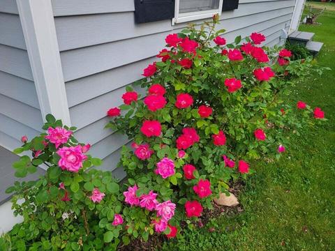 206 S Main St, Tekonsha, MI 49092 photo 95