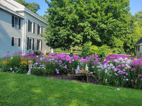 206 S Main St, Tekonsha, MI 49092 photo 96
