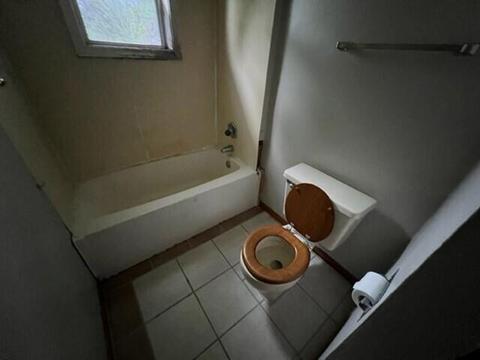 607 W Ellis St, Belding, MI 48809 photo 8