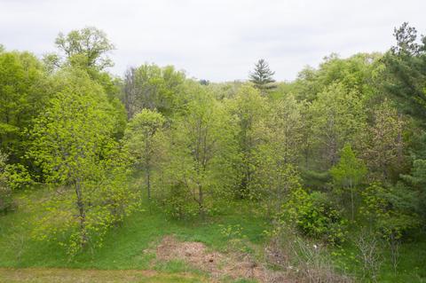 1333 E Wilcox Ave, White Cloud, MI 49349 photo 37