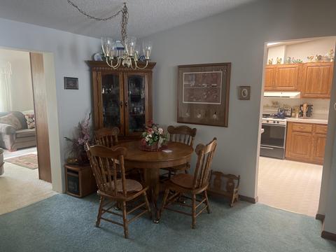 6311 W Sidney Rd, Sidney, MI 48885 photo 6