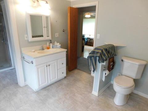 913 Browning Ave, Jackson, MI 49202 photo 10