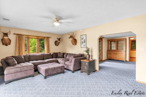 383 Cherokee Trl, Stanton, MI 48888 photo 16