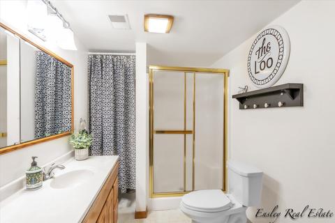 383 Cherokee Trl, Stanton, MI 48888 photo 14