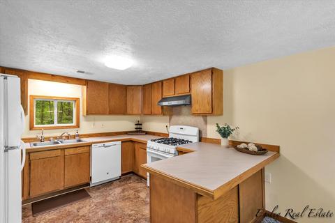 383 Cherokee Trl, Stanton, MI 48888 photo 9