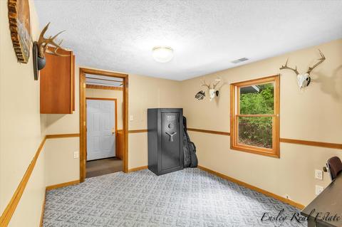 383 Cherokee Trl, Stanton, MI 48888 photo 22
