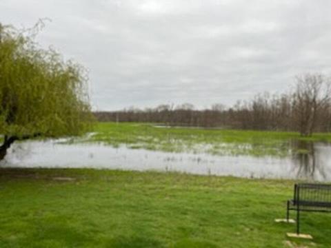 111 E Wilson Rd, Saint Johns, MI 48879 photo 7