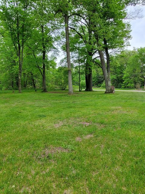960 S Pierce Rd, White Cloud, MI 49349 photo 28