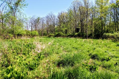 190 W Dowling Rd, Dowling, MI 49050 photo 96