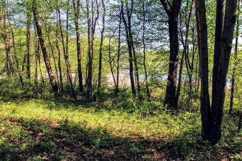 190 W Dowling Rd, Dowling, MI 49050 photo 105