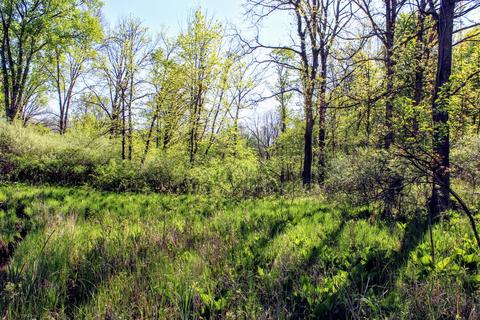 190 W Dowling Rd, Dowling, MI 49050 photo 95