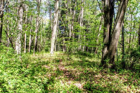 190 W Dowling Rd, Dowling, MI 49050 photo 106