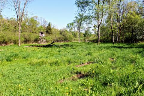 190 W Dowling Rd, Dowling, MI 49050 photo 82
