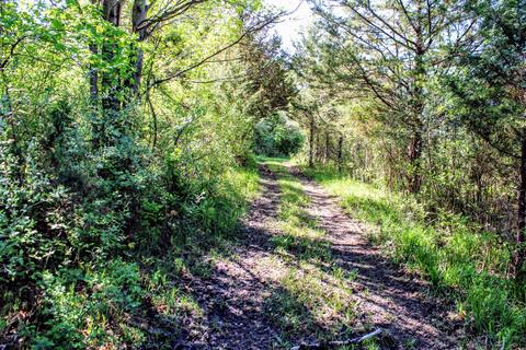 190 W Dowling Rd, Dowling, MI 49050 photo 103