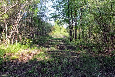 190 W Dowling Rd, Dowling, MI 49050 photo 86