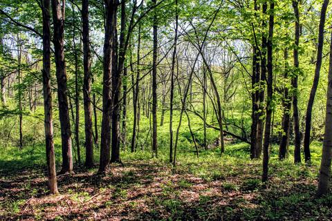 190 W Dowling Rd, Dowling, MI 49050 photo 97