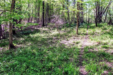 190 W Dowling Rd, Dowling, MI 49050 photo 98