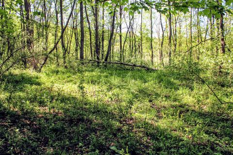 190 W Dowling Rd, Dowling, MI 49050 photo 101
