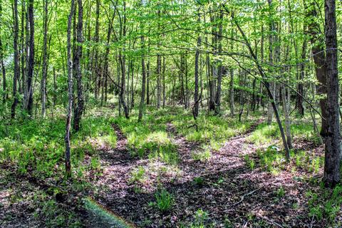 190 W Dowling Rd, Dowling, MI 49050 photo 94