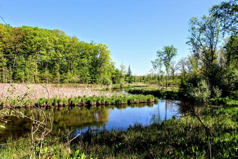 190 W Dowling Rd, Dowling, MI 49050 photo 75