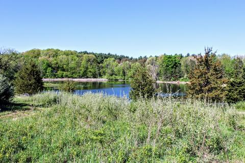 190 W Dowling Rd, Dowling, MI 49050 photo 73