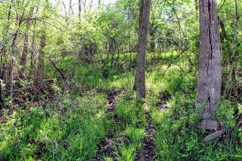 190 W Dowling Rd, Dowling, MI 49050 photo 83