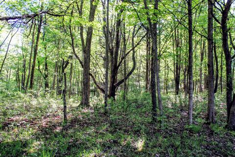 190 W Dowling Rd, Dowling, MI 49050 photo 85