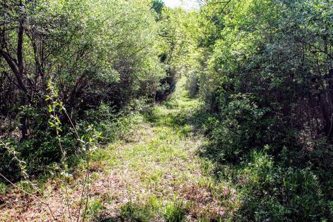 190 W Dowling Rd, Dowling, MI 49050 photo 87