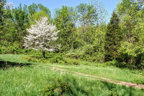 190 W Dowling Rd, Dowling, MI 49050 photo 80