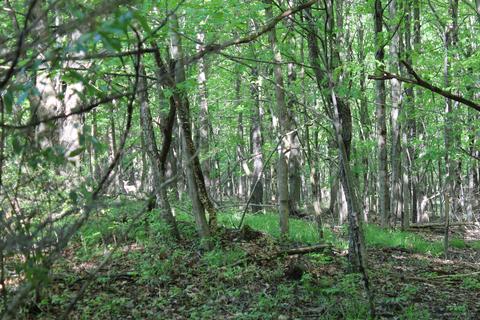 190 W Dowling Rd, Dowling, MI 49050 photo 91