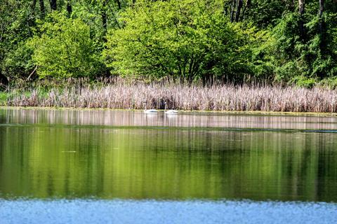 190 W Dowling Rd, Dowling, MI 49050 photo 78