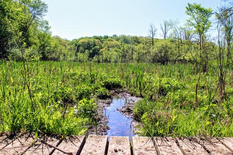 190 W Dowling Rd, Dowling, MI 49050 photo 74