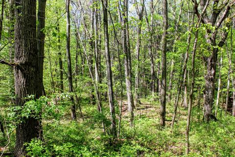190 W Dowling Rd, Dowling, MI 49050 photo 107