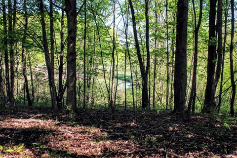 190 W Dowling Rd, Dowling, MI 49050 photo 102