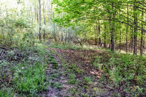 190 W Dowling Rd, Dowling, MI 49050 photo 88