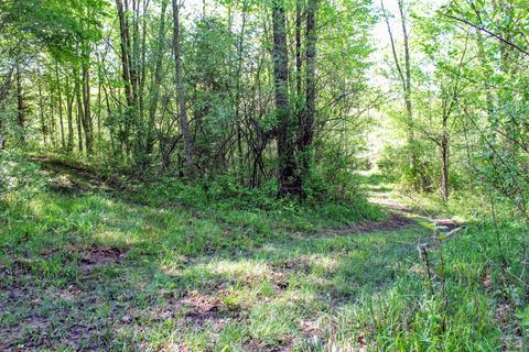 190 W Dowling Rd, Dowling, MI 49050 photo 93